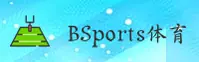 BSports(BSports)官方网站 - 官方正版入口